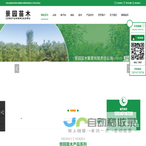 内蒙古苗木销售,内蒙古油松,内蒙古樟子松,呼市新疆杨|呼和浩特市景园苗木繁育有限责任公司