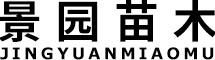 内蒙古苗木销售,内蒙古油松,内蒙古樟子松,呼市新疆杨|呼和浩特市景园苗木繁育有限责任公司
